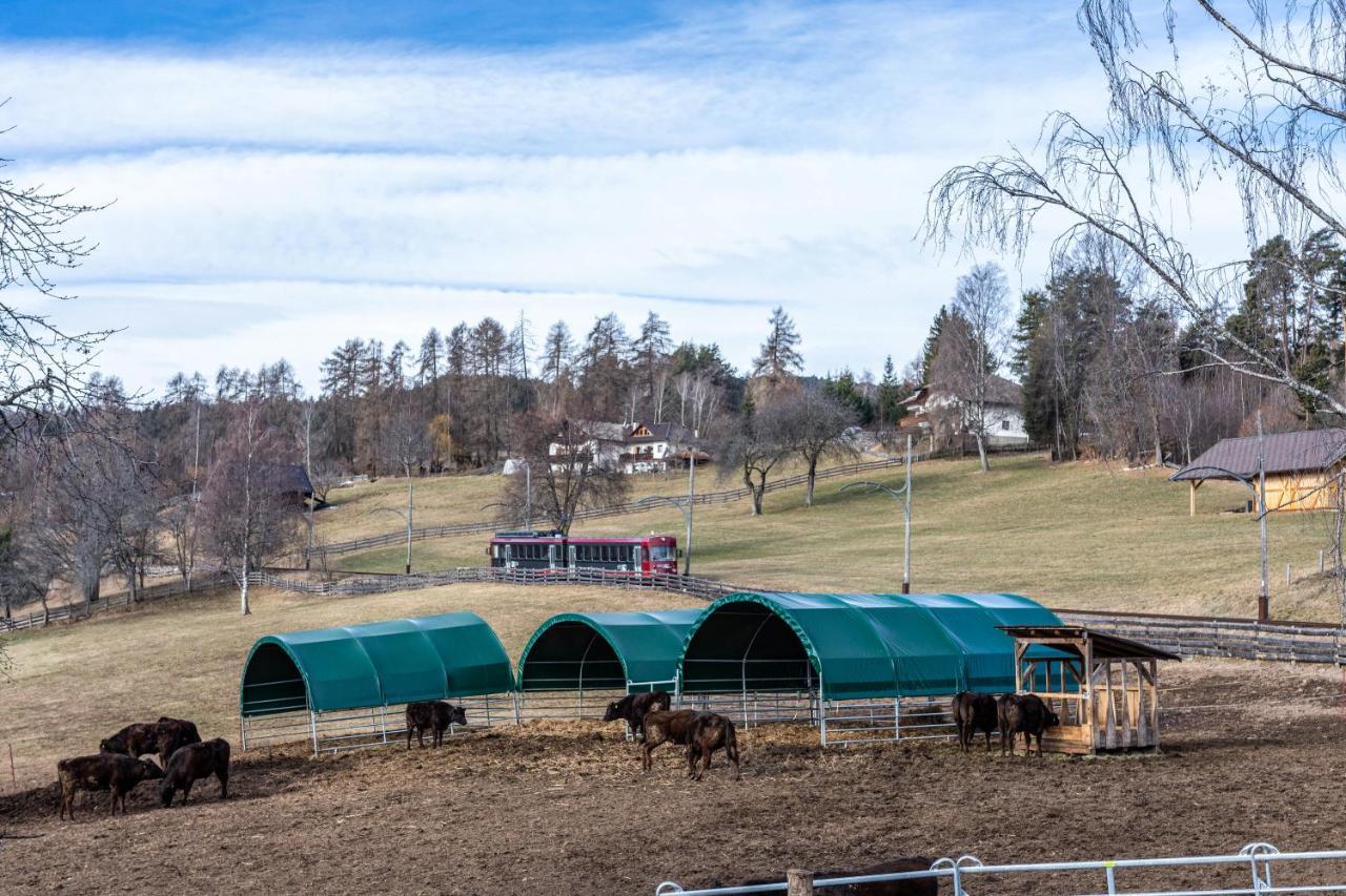 Alpin Farm Birke - Oberweidacherhof كولابو المظهر الخارجي الصورة